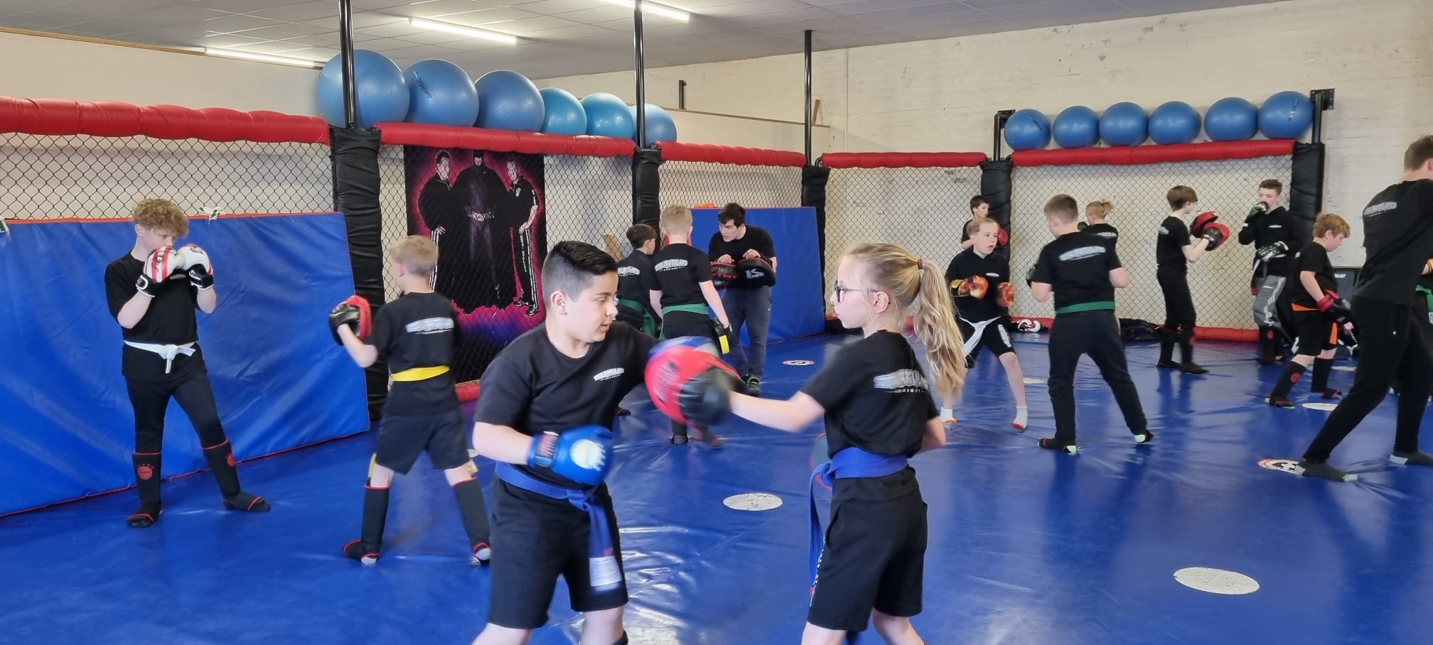 Total Martial Arts Hull photo (Gym's own website)