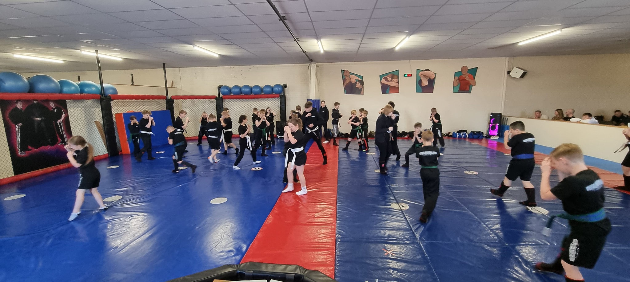Total Martial Arts Hull photo (Gym's own website)
